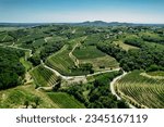 Aerial view of wine-growing area,Slovenia.Visit to Goriska Brda region.Hilltop villages,orchards,cypress trees,rolling vineyards.Wine tourism.Vineyards and countryside landscape in Slovenia