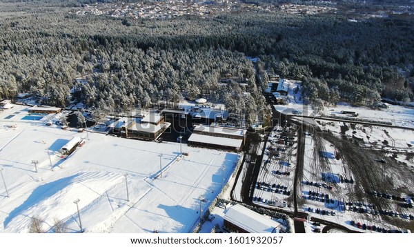 Aerial view of the winter cottages,\
roads, slopes surrounded by forest at the large ski resort in\
winter against blue cloudy sky. Motion. Relax and\
sports