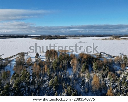 Aerial view of a winter forest
