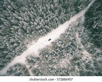 aerial view of winter forest covered in snow. drone photography - vintage effect