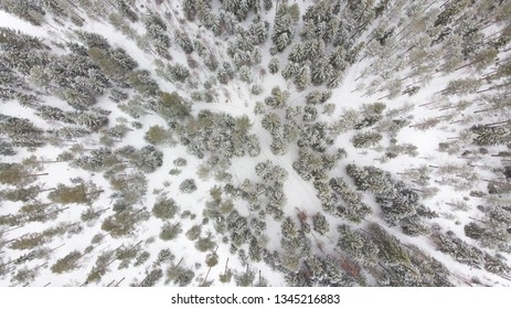 Aerial view to winter forest in Finland, Europe