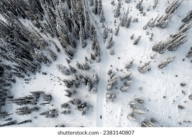 Aerial view of winter landscape atop alpine forest mountain top road with snowmobile rider on trail - Powered by Shutterstock