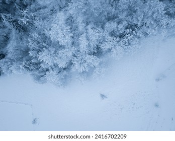 Aerial view of winter landscape with snow covered forest in Switzerland, Europe. - Powered by Shutterstock