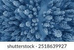 Aerial view of a winter snow-covered pine forest. Winter forest texture. Aerial view. Aerial drone view of a winter landscape. Snow covered forest. Aerial photography