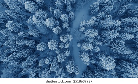 Aerial view of a winter snow-covered pine forest. Winter forest texture. Aerial view. Aerial drone view of a winter landscape. Snow covered forest. Aerial photography - Powered by Shutterstock