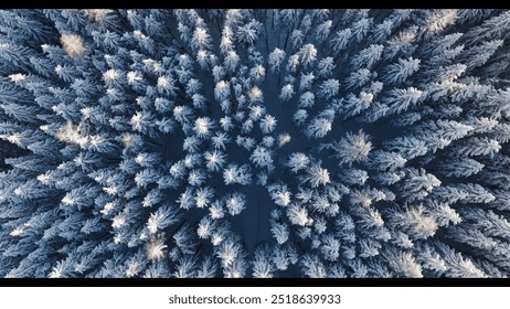 Aerial view of a winter snow-covered pine forest. Winter forest texture. Aerial view. Aerial drone view of a winter landscape. Snow covered forest. Aerial photography - Powered by Shutterstock