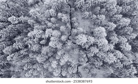 Aerial view of a winter snow-covered pine forest. Winter forest texture. Aerial view. Aerial drone view of a winter landscape. Snow covered forest. Aerial photography
 - Powered by Shutterstock