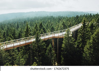 Aerial view of wooden bridge and observation deck for walking through treetops. Pohorje Treetop Walk, Rogla. Slovenia, Europe.