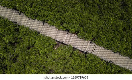 Aerial view wooden bridge walkway in forest.