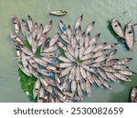 Aerial view of wooden passenger boats along the Buriganga River, Keraniganj, Dhaka, Bangladesh.