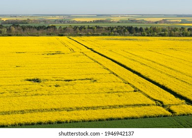 Vue aérienne des champs de colza jaunes dans le département d'Eure-et-Loir dans le Centre-Val de Loire, France.