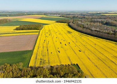 Vue aérienne des champs de colza jaune dans le département d'Eure-et-Loir dans le Centre-Val de Loire, France.