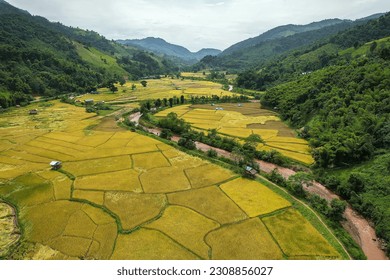 Aerial view of the yellow rice field, grew in different pattern, soon to be harvested and 
surrounded by green mountains at Nan, Thailand. - Powered by Shutterstock