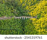 Aerial view of the Zampach stone railway bridge surrounded by lush greenery in Czechia, showcasing the pristine natural landscape and the curve of the railway tracks.