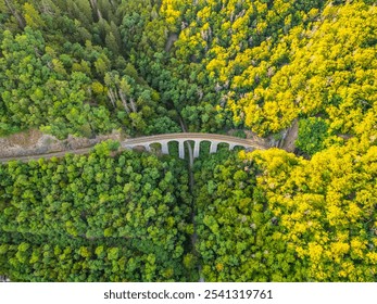 Aerial view of the Zampach stone railway bridge surrounded by lush greenery in Czechia, showcasing the pristine natural landscape and the curve of the railway tracks. - Powered by Shutterstock