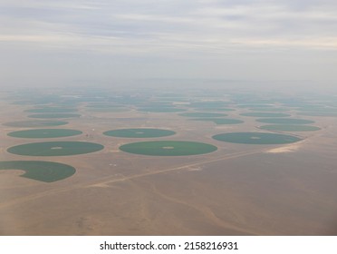 Aerial views of crop fields in the desert region of Tabuk in the north west area of Saudi Arabia
