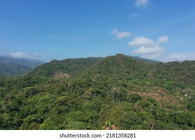 Aerial Views Of Dense Rainforest In Tayrona National Natural Park And Peaks Of The Sierra Nevada De Santa Marta