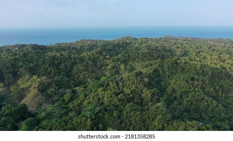 Aerial Views Of Dense Rainforest In Tayrona National Natural Park And Peaks Of The Sierra Nevada De Santa Marta