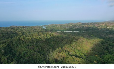 Aerial Views Of Dense Rainforest In Tayrona National Natural Park And Peaks Of The Sierra Nevada De Santa Marta