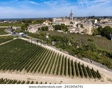 Aerial views of green vineyards around of medieval town St. Emilion, production of red Bordeaux wine on cru class vineyards in Saint-Emilion wine making region, France, Bordeaux