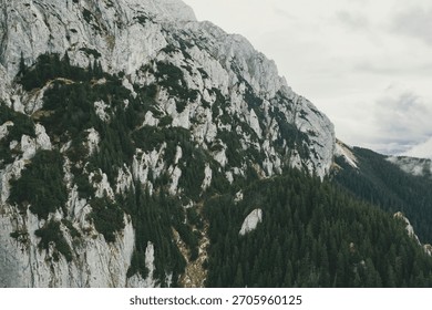 Aerial views highlight the dramatic cliffs and lush forests of Piatra Craiului Mountains in Romania. The rugged terrain offers a breathtaking scene of nature's beauty and serenity