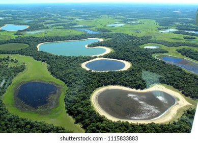 Aerial Views Of Natural Areas In Brazil Pantanal
