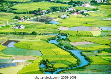 Aerial Of A Village With Rice Field And A River Running Through