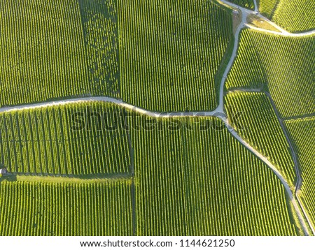 Aerial of Vineyard fields between Lausanne and Geneva in Switzerland