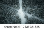 Aerial Winter Intersection in Snow-Covered Forest – Serene Crossroads Among Snowy Pine Trees