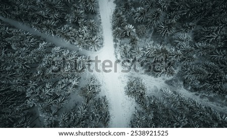 Aerial Winter Intersection in Snow-Covered Forest – Serene Crossroads Among Snowy Pine Trees