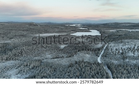 Similar – Image, Stock Photo An ethereal landscape showcasing a blur of golden wildflowers against a backdrop of serene trees under a soft, hazy sunrise