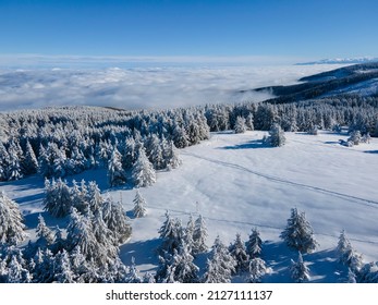Aerial Winter view of Vitosha Mountain, Sofia City Region, Bulgaria