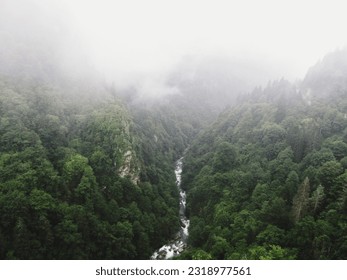 Aeriel view of waterfall between trees of high hills in a foggy day. Water flows down to rocky mountain. - Powered by Shutterstock
