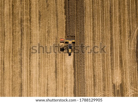 Similar – Combine harvester harvests grain field in the evening light from the air