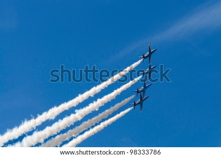 Aerobatic team performs flight