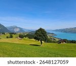 Aeschiried, View over Lake Thun ans the Mountains from a beautiful hill
