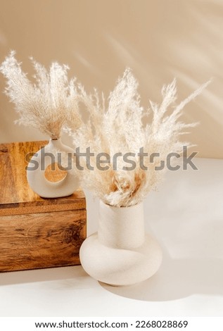 Aesthetic ceramic vase set with pampas grass on wooden storage box with cozy warm shadows, bohemian poster. Scandinavian home interior decoration, bohemian style