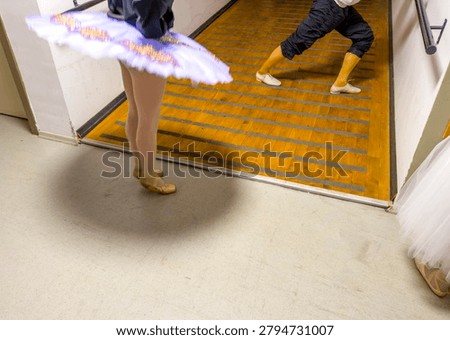 An aesthetic composition featuring glimpses of backstage preparations during a ballet performance.