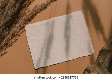 Aesthetic Composition Of Paper Card Mockup, Decorative Driftwood, Pampas Grass.  