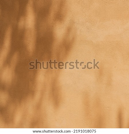 Aesthetic flower shadows in sunlight. Floral silhouette on neutral orange background. Sunlight shadows on the wall