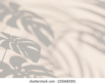 Aesthetic monstera shadow on the wall - Shutterstock ID 2250683301