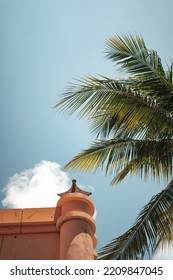 Aesthetic Palm Tree And Building With Blue Sky