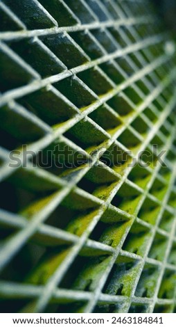 Aesthetic pattern of galvanized steel with moss on the surface. Galvanized's surface hard to be corrotion but moss still grow healthy there. 