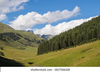 Aesthetic Photo Of Coniferous Forest With Mountains And Clouds