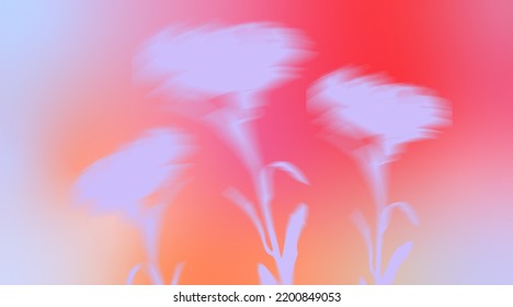 Aesthetic pink   gray gradient flowers   light effect  Simple 80s  style  Abstract background  