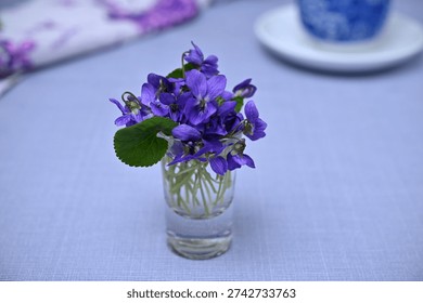 Composición estética primavera con