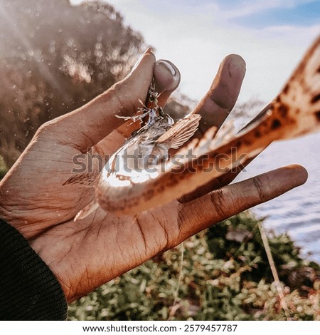 Aesthetic view of flathead fish, caught with micro jig, in Indonesia it's called Ikan Tekekan