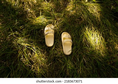 Aesthetic Yellow Slippers In The Forest, Natural Concept, Selective Focus, Autumn Concept, 
Green Grass In The Forest