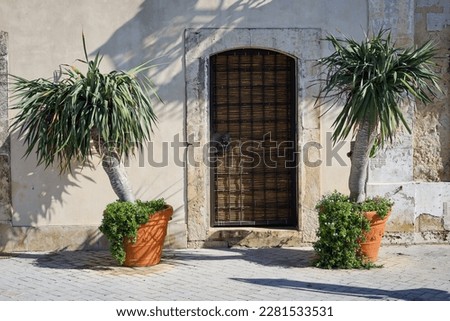 The aesthetically beautiful exterior of a building in Sicily, Italy. Two yucca palms in pots in front of a doorway. Entrance to the old stone villa in the rays of the sun. 