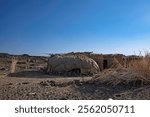 Afar nomad hut in the remote volcanic desert of the Danakil depression in Ethiopia